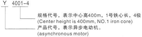 西安泰富西玛Y系列(H355-1000)高压YKS5602-2/2000KW三相异步电机型号说明